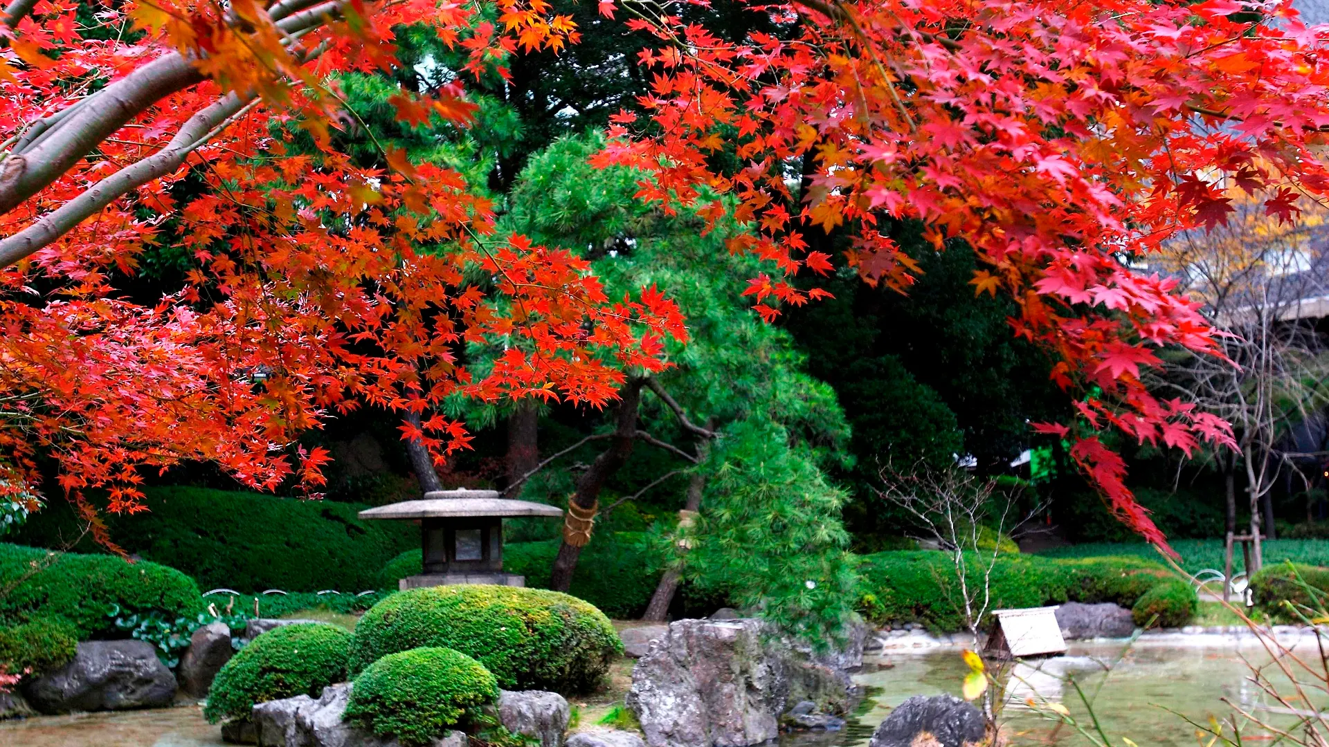 *****  Grand Prince Hotel Shin Takanawa Tokyo Japan